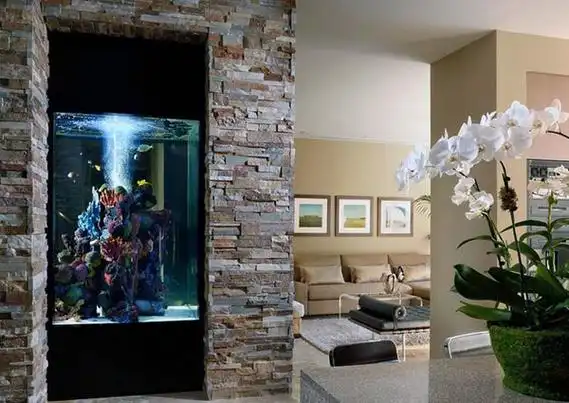 同时实现了不用经常换水和养护的效果,从而真正使鱼缸变成了一幅美丽