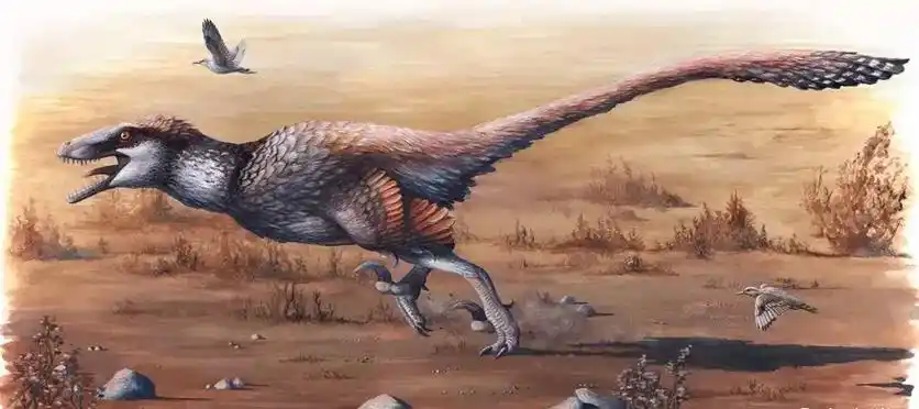 白垩纪恐龙-披满羽毛的大长腿达科塔盗龙 - 抖音