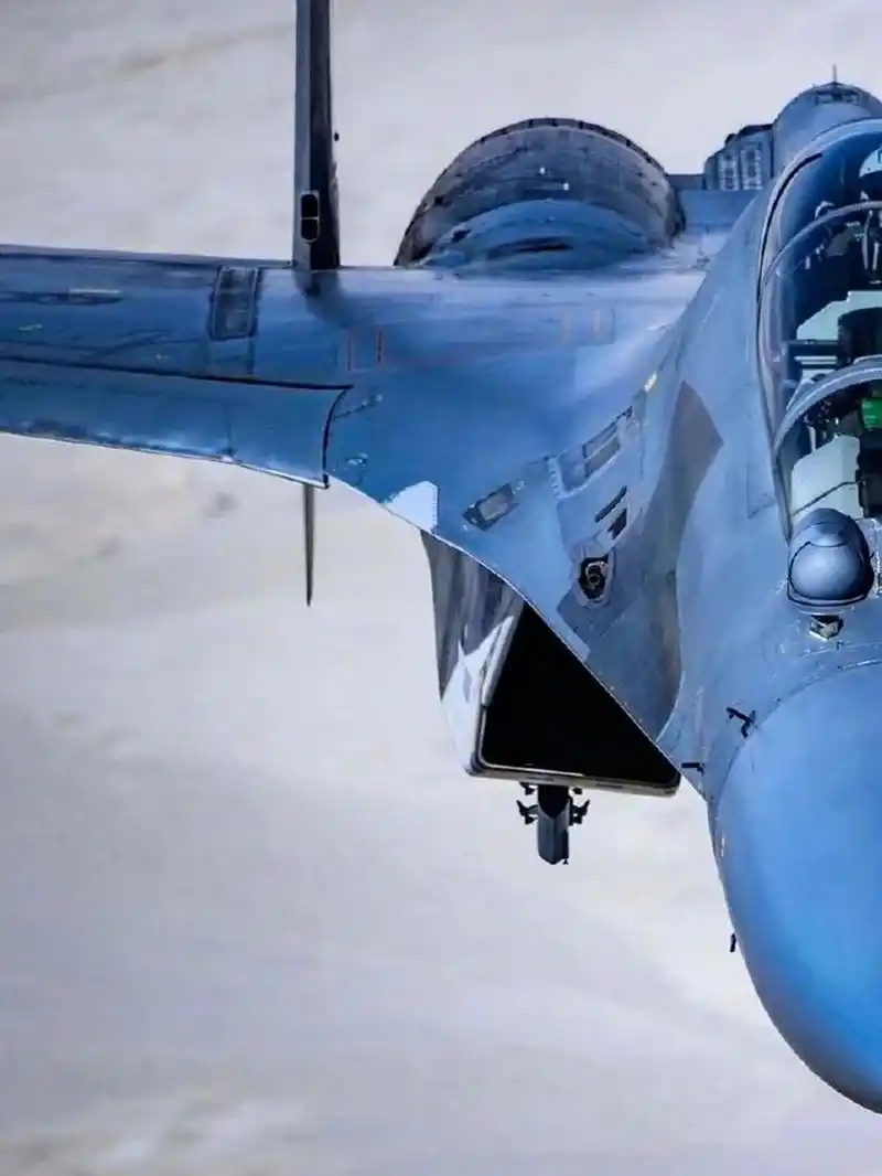 9899歼16精美大图9899