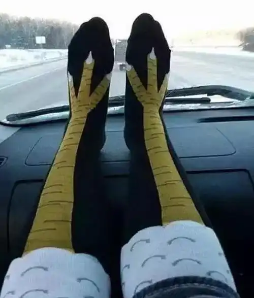 史上最奇葩的5双袜子满是眼睛的丝袜你见过吗