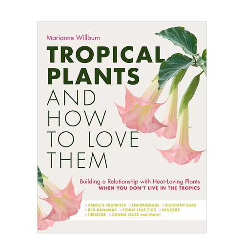 【现货】热带植物与如何爱护它们tropical plants and how to love
