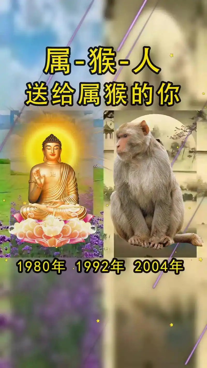 属相 #生肖猴 #生肖文化 #生肖守护神 #传统文化 - 抖音