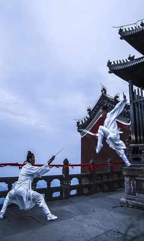 一早跋上金顶,没有日出,两小道士正在像电视里那样飞来舞去的练剑