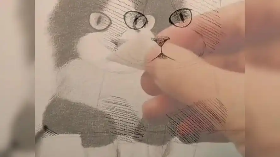 如何画一张可爱的猫铅笔画