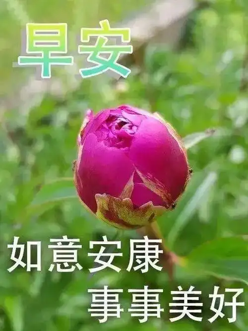 朋友圈早上好唯美表情祝福美图 暖心早上好问候语简短
