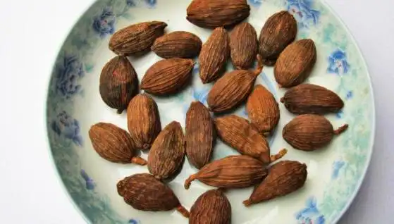 草果和砂仁的区别