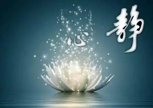 心静了你的世界就静了