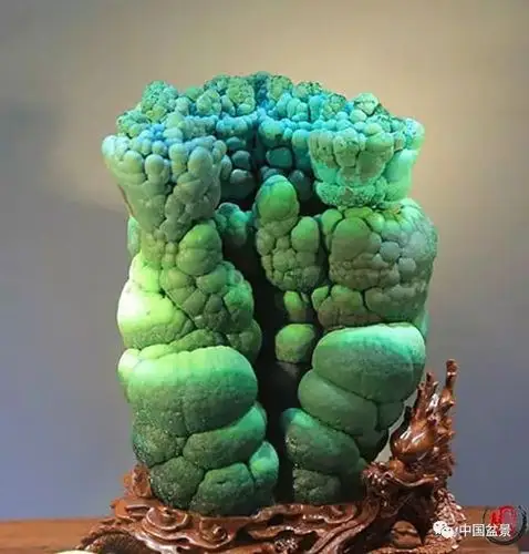 世界奇石文化博览会上的金奖作品长啥样快来见识一下