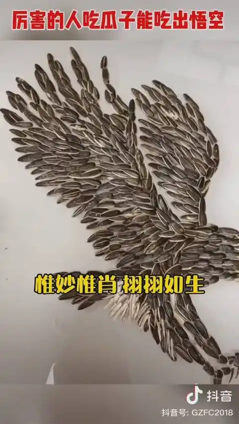 湖南小伙用瓜子壳摆出孙悟空