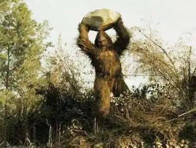 美国出现大脚怪,有人说是假的,有人说是真的,专家给出这样结论