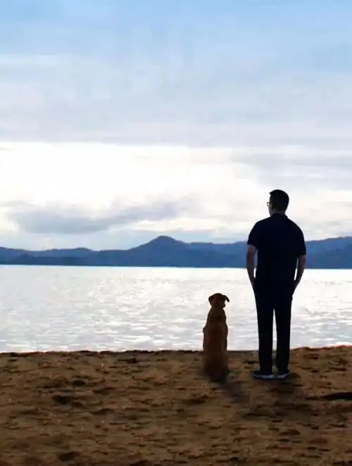 "一人一厨一狗"与"不让雷锋吃亏"