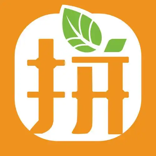 拼多多app小程序开发源码