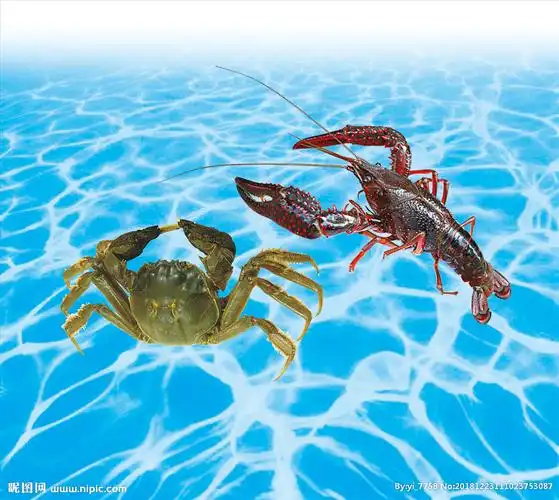 龙虾螃蟹图片