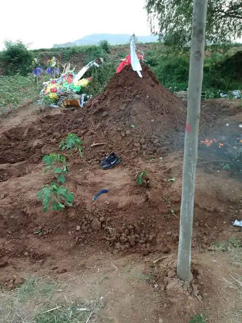 沉痛悼念荣军叔与世长辞4