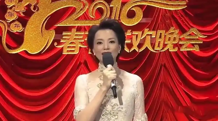 董卿13年(2005-2017)春晚造型大集合,满满都是回忆啊