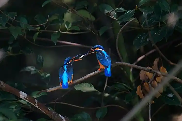 腾龙150-600试拍片-中关村在线摄影论坛