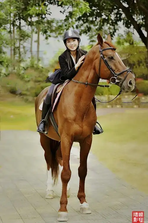 美丽英姿女骑士