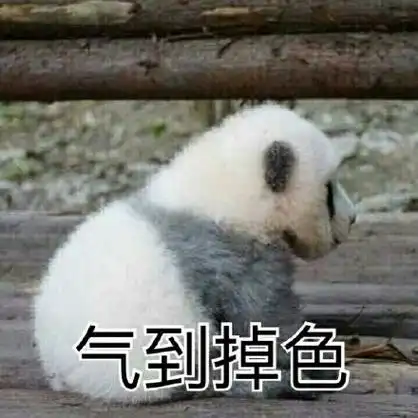 一波可爱的表情包