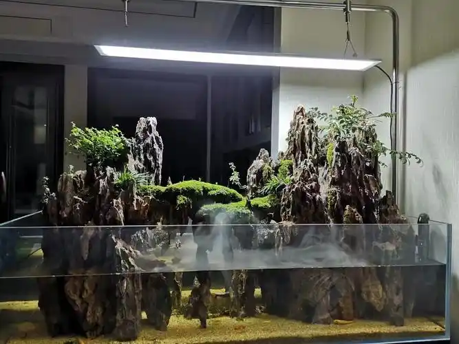 鱼缸造景石景观石天然松皮石假山石水草缸造景盆景装饰石水草造景 17