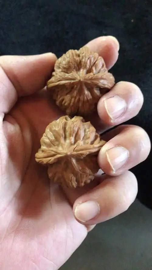 每日推荐一对核桃:鬼龙(六星元宝)