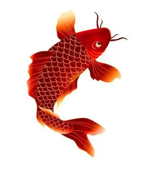 红鲤鱼设计图__广告设计_广告设计_设计图库_昵图网nipic.com