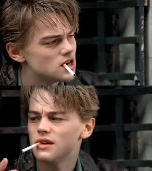 莱昂纳多边缘日记