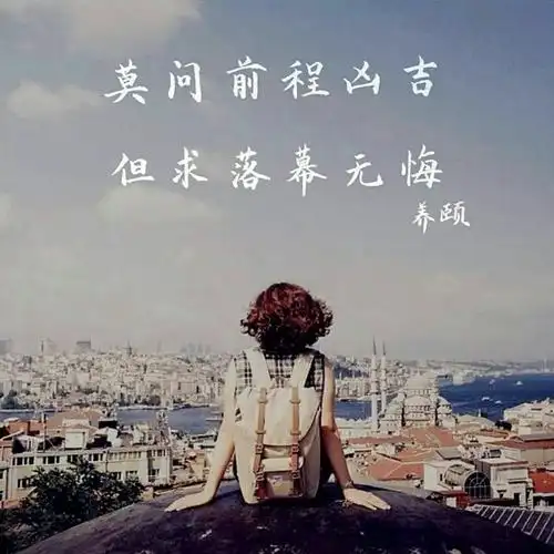 【书写人生手写团】第480天:莫问前程凶吉,但求落幕无悔. 2016.11.