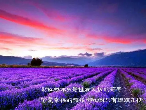 紫色风景唯美说说哲理带字图片-那些曾经让我们哭的事情,总有一天会