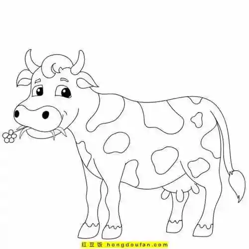 11张哞哞叫的小牛卡通涂色简笔画孩子们最喜欢的农场动物