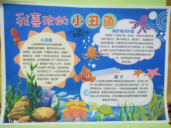 南京路小学二年级三班海洋主题手抄报