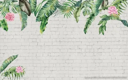 热带植物雨林壁纸芭蕉叶图片