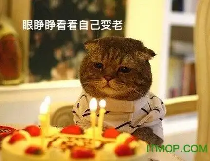 表情包是当下很火很可爱的猫咪表情包大全,萌萌的表情配上特有的文字