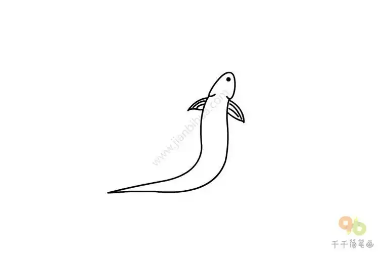 泥鳅简笔画步骤图