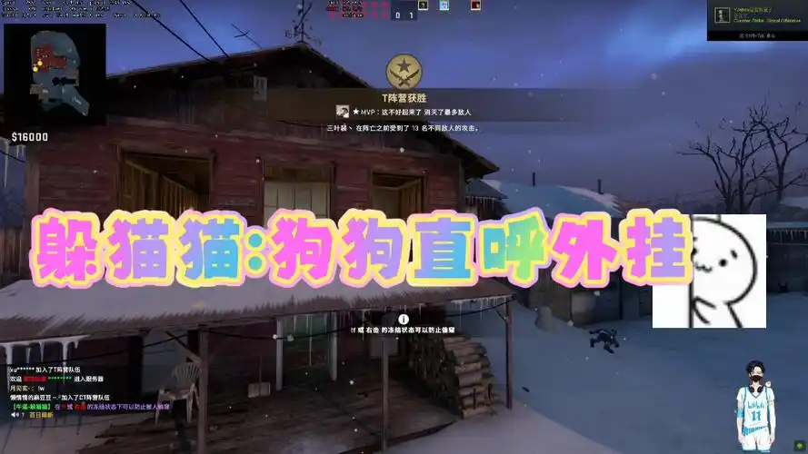 csgo躲猫猫狗狗直呼外挂抓猫猫佣兵训练营