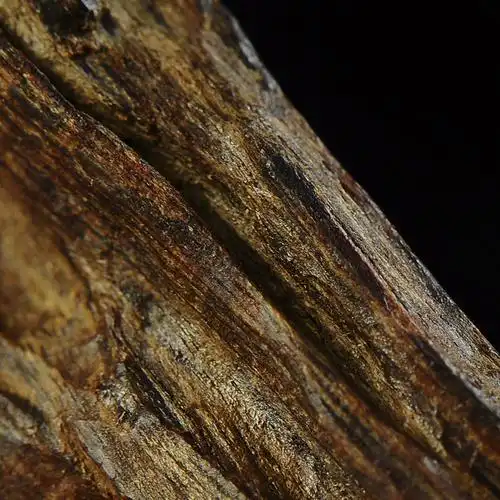 世纪沉香坊芽庄白奇楠观音沉水级144克17031717