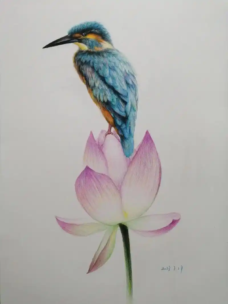 画画 #彩铅 #手绘 #花鸟 #彩铅绘画 - 抖音