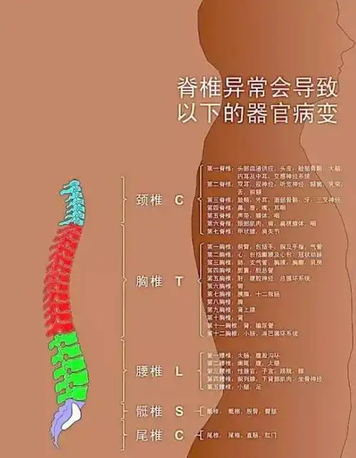 腰椎5-8节,称作"寒冷关"胸椎3-5节,称作"气血关"颈椎1-3节,称作"风寒