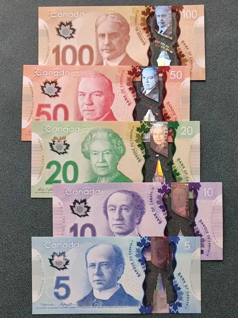 加拿大元(canadian doll - 抖音