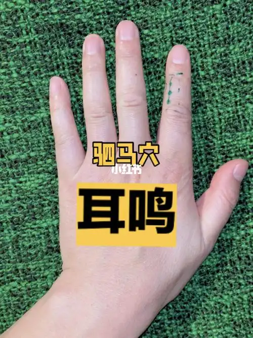 166. 耳鸣,驷马穴_耳鸣_医疗健康_医疗方法