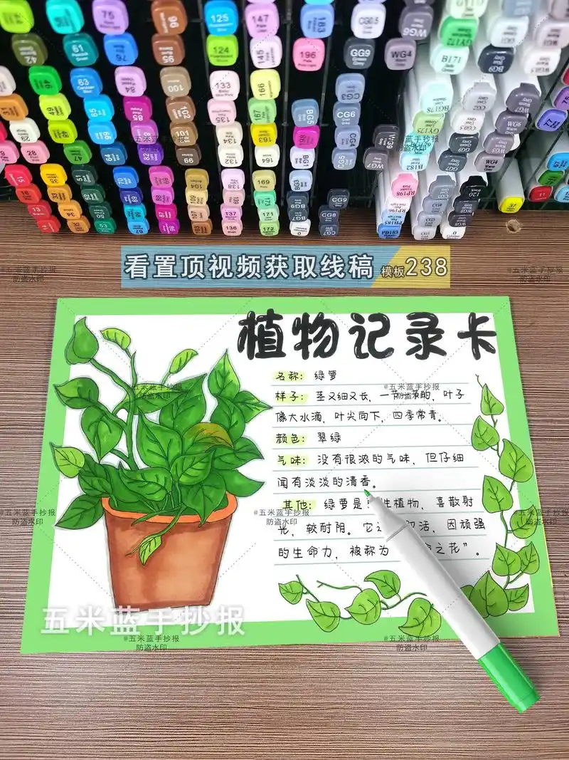 绿萝植物记录卡我的植物朋友名片.