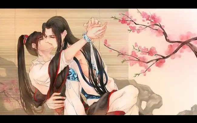 魏无羡 蓝忘机w650 (650×408)