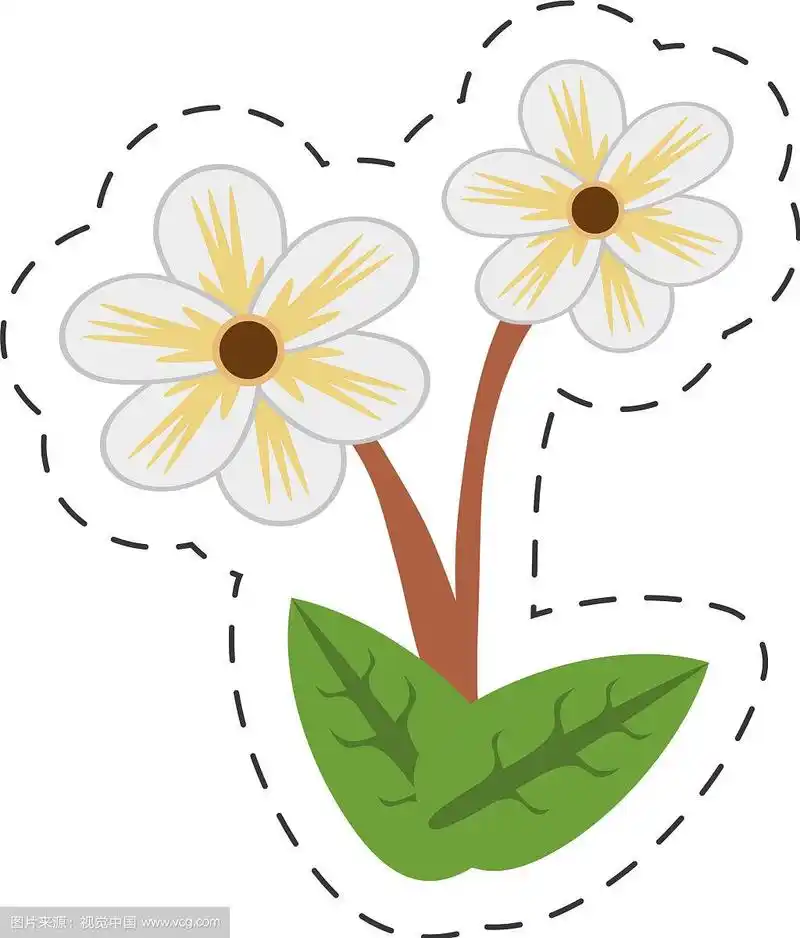 卡通茉莉花形象