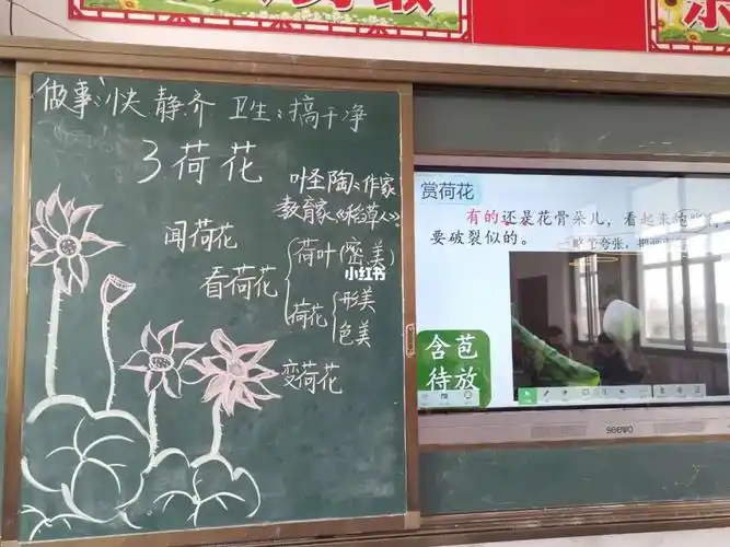 语文教学三下荷花