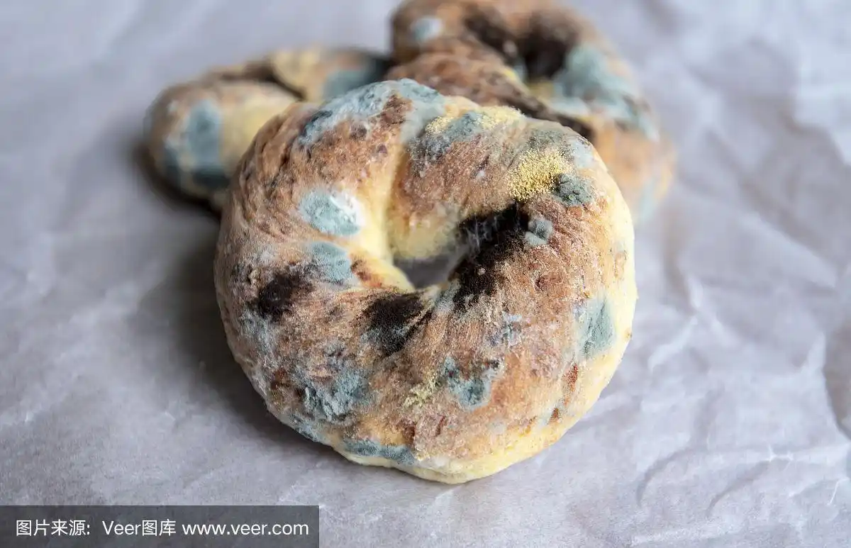 面包上发霉,白色皱巴巴的纸上发霉的面包