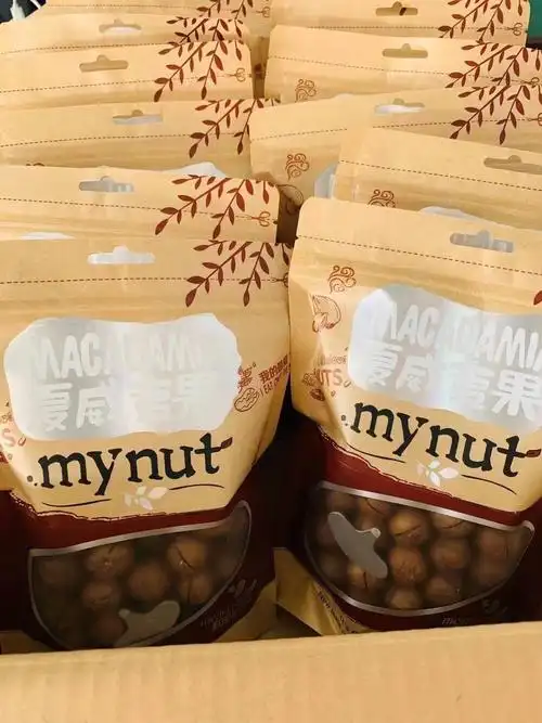 澳洲坚果桂热一号