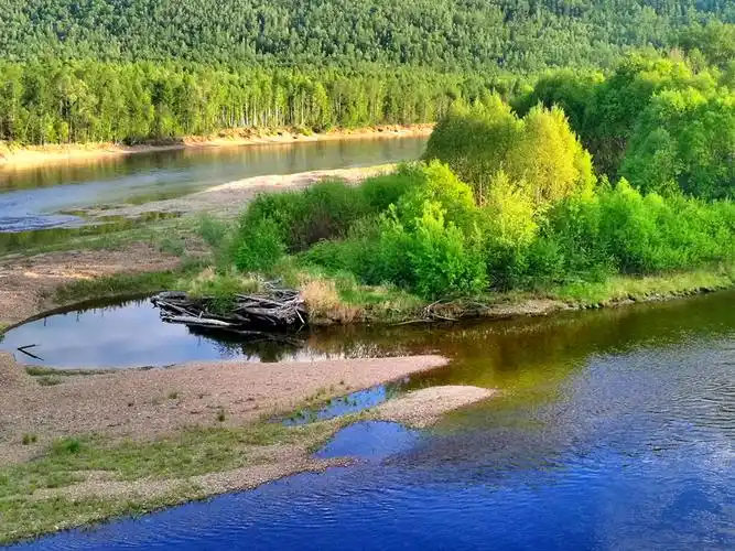 呼伦贝尔百科内蒙古有一个绿色宝库