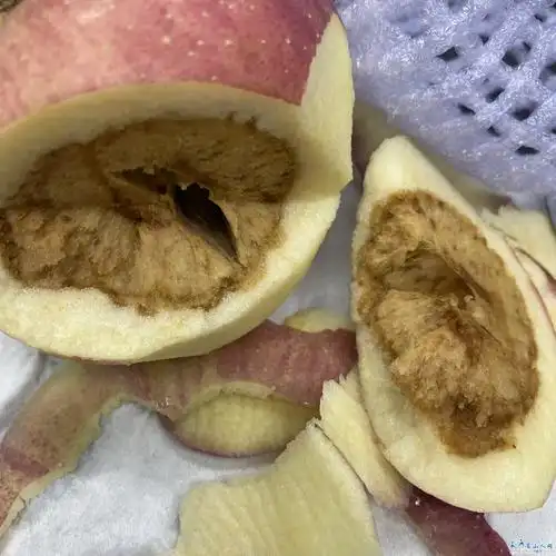 选苹果是真的不好选,外面看起好好的,里面烂完了