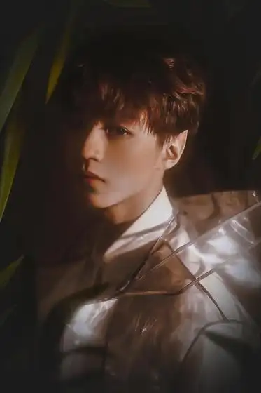 2k手机竖屏分辨率王俊凯tfboys成员no31壁纸