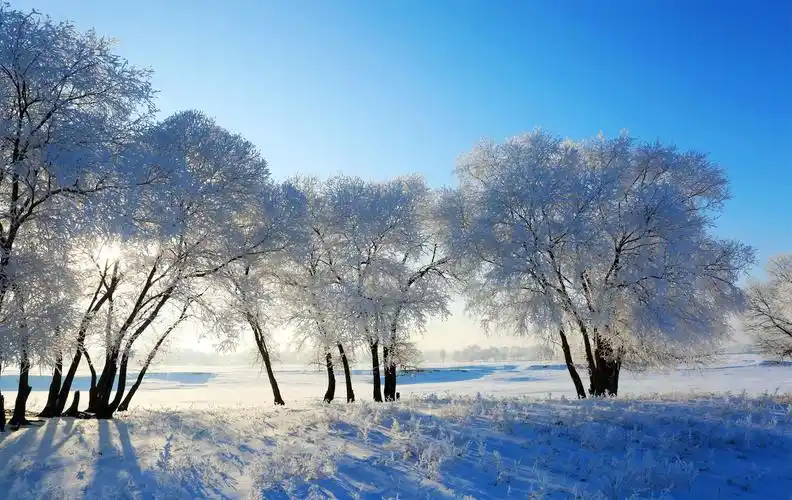 内蒙古呼伦贝尔冬景如画