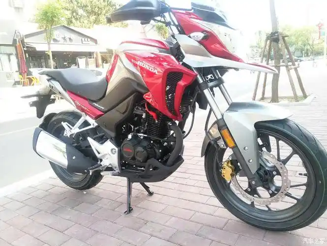 五羊本田猛鸷190标准版实拍